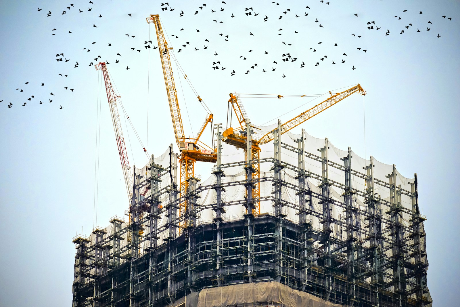 Grues et structure d’un bâtiment en construction